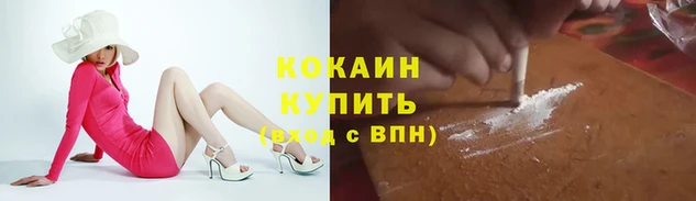 шишки Покровск