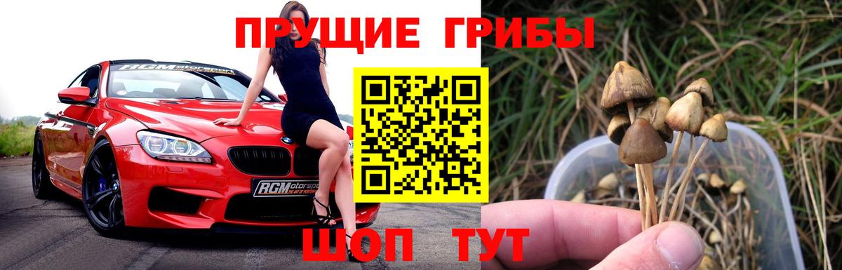 Елец  Галлюциногенные грибы мухоморы  цена   Вход с VPN 